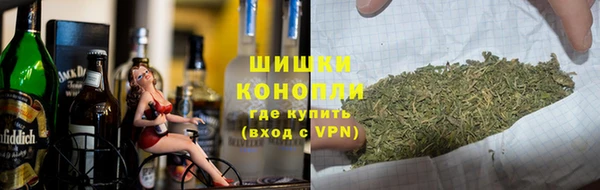 прущие грибы Алзамай