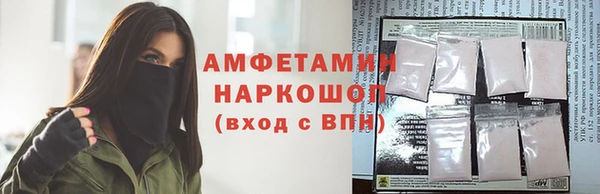 прущие грибы Алзамай