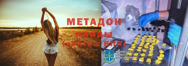 прущие грибы Алзамай